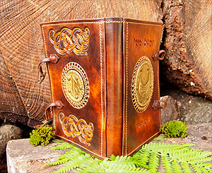 Buchhülle Stevenmann